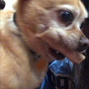 Meet your Posher, Sandy